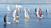 Türkiye Yelken Federasyonu