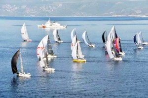 Türkiye Yelken Federasyonu