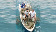 BALIK avcılığında kullanılan uzatma ağları, paraketa ve kafes gibi av malzemeleri hava koşulları, deniz kuşlarının şamandıra iplerini gagalayarak çözmesi, gemi enkazlarına takılması ve işaret şamandıralarının iyi bağlanamaması gibi nedenlerden kaybolur. Bu av malzemeleri, dibe çökerek denizdeki canlıları avlamaya devam ediyor. […]