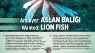 Antalya'nın Deniz ve Kıyılarının İklim Değişikliğine Adaptasyonu Projemiz kapsamında hazırlanan"Aslan Balığı" posterlerimizden edinmek isterseniz iletişime geçebilirsiniz. e-mail: antalyadeniziklim@gmail.com @antalyaiklim @ANTALYABB pic.twitter.com/0A3X5Kc9gW — TÜDAV (@TudavTudav) 21 Temmuz 2018 Türk Deniz Araştırmaları Vakfı Duyurusu