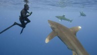 A war hero has spent two days and nights swimming among sharks for a new documentary. James Glancy, 35, of Wimbledon, served three combat tours in Afghanistan as an officer in the Royal Marines and Special Forces, and was awarded […]