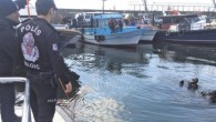 İSTANBUL (AA) – Tekirdağ Emniyet Müdürlüğü Deniz Limanı Şube Müdürlüğü ekipleri, balıkçılar tarafından deniz altına saklanmış trol ağlarını ve trol kapaklarını ortaya çıkardı. Deniz polisi, yavru balık avının en önemli sorumlularından olan ve deniz canlılarının neslini tükettiği için Marmara Denizi’nde […]