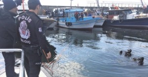 İSTANBUL (AA) – Tekirdağ Emniyet Müdürlüğü Deniz Limanı Şube Müdürlüğü