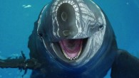 Barely a generation ago, Danish fishermen were accidentally killing 7,000 of the sea creatures every year, but underwater alarms are now warning them off from entering heavily-netted areas. Denmark doesn’t kill whales; it likes them. That much was clear when […]