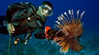 Reef Environmental Education Foundation is to present the final leg of its 2018 Florida Lionfish Derby Series Friday through Sunday, Sept. 14-16, at John Pennekamp Coral Reef State Park in Key Largo. Divers can participate to help preserve Keys reefs […]