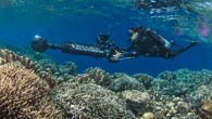 MANADO, Indonesia — Scientists using artificial intelligence and underwater scooters to assess reef health after global warming sparked bleaching that killed a very large number of the planet’s shallow-water corals have found surprisingly healthy reefs off Indonesia. Marine scientists from […]
