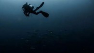 I don’t know about you, but when I first started diving, I stuck to my dive buddy like someone had Krazy-Glued us together. Over time, I gained confidence and no longer needed to be only a fin’s-length away — still, […]