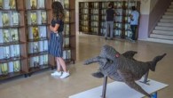 Amerika ve Avrupa kıtalarındaki çeşitli göl ve akarsularda yaşayan endemik yaklaşık 50 çeşit balığın getirilerek oluşturulduğu Balık Müzesi kapılarını açtı. Van Yüzüncü Yıl Üniversitesi (YYÜ) Su Bilimleri Fakültesi’nde Afrika, Amerika ve Avrupa kıtalarındaki çeşitli göl ve akarsularda yaşayan endemik yaklaşık […]
