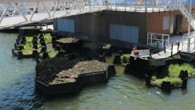 Hollanda, deniz ve nehirlerden topladığı plastik atıklardan 140 metrekare genişliğinde geri dönüşüm parkı yaptı. Ülkenin deniz kıyısında bulunan Rotterdam şehrinin Rijnhaven Limanı’nda inşa edilen yapı, su üstünde yüzebiliyor. Temmuz ayı başında açılan park için Geri Dönüşüm Adası Fonu (Recycled Island […]