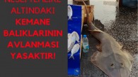 Türk Deniz Araştırmaları Vakfı