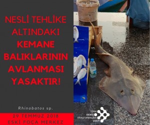 Türk Deniz Araştırmaları Vakfı
