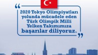 Türkiye Yelken Federasyonu