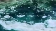 @TURMEPADernegi #Kaş Boğazcık Koyu, Barak iskelesi mevkii yakınları. Deniz yüzeyinde köpükler, sintine artığı mı yoksa doğal oluşum mu? @TCKulturTurizm @sualtigazetesi pic.twitter.com/1w1morhC3Q — Alpay Salt (@alpaysalt) 1 Ağustos 2018