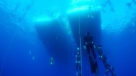 Antalya’nın Kaş ilçesinde düzenlenen şampiyona 4 ayrı branşta gerçekleştirildi. Türkiye Sualtı Sporları Federasyonu (TSSF) tarafından düzenlenen Serbest Dalış Açık Su Türkiye Şampiyonası, Antalya’nın Kaş ilçesinde yapıldı. Federasyondan yapılan açıklamaya göre, 50 sporcunun katılımıyla İnceboğaz Mesire Alanı açıklarında gerçekleştiren şampiyona nefes […]