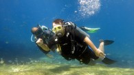 Muğla’nın Fethiye İlçe Kaymakamı Muzaffer Şahiner, protokol üyeleriyle dalış yaptı. Muğla’nın Fethiye İlçe Kaymakamı Muzaffer Şahiner, İlçe Milli Eğitim Müdürü Faruk Kaya, İlçe Müftüsü Hamdi Uzunharman, Orman İşletme Müdürü Gürhan Zorlu aldıkları eğitimin adından dalış gerçekleştirdi. Su altında bir süre […]