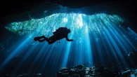 Photographers use many tools to ­create engaging images — one of the most important is the use of fellow scuba divers. Divers are dynamic in their ability to add interest to an ­otherwise mediocre image. Incorporating a ­diver silhouette can […]