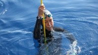 Antalya’nın Kaş ilçesinde Türkiye Sualtı Sporları Federasyonu (TSSF) tarafından gerçekleştirilen CMAS 3. Serbest Dalış Outdoor Dünya Şampiyonası’nın bugünkü yarışlarında 2 dünya rekoru kırıldı. Bayanlarda kırılan rekoru İtalyan ve Ukraynalı sporcular paylaşırken, erkekler kategorisindeki rekor Rus sporcudan geldi. İtalyan Alessia Zecchini […]