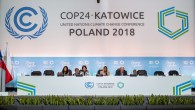 İklim değişikliği konusunda dünyanın geleceğine yön verecek kararların alınacağı Birleşmiş Milletler (BM) İklim Zirvesi (COP24), 2-14 Aralık tarihleri arasında Polonya’da gerçekleşiyor. TEMA Vakfı yaptığı açıklama ile Türkiye’nin iklim değişikliği konusunda yapması gerekenlere dikkat çekti. Tüm dünyanın geleceğini ilgilendiren kararların alınacağı […]
