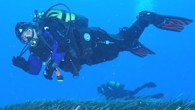 Istranca Ekolojik Yaşam Derneği ile Europe AndWe Derneği tarafından yürütülen “Ortak Değer Karadeniz, Dünya Nefes Alsın” projesi kapsamında Kırklareli ve Bulgaristan’daki deniz çayırları korunacak. Istranca Ekolojik Yaşam Derneği Başkanı Üzeyir Onur Koçtürk, yaptığı açıklamada iki komşu ülkenin deniz çayırlarının korunmasına […]