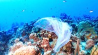 Dünyanın en derin noktası Mariana Çukuru’nda araştırma yapan bilimciler, yüzeydekinden dört kat daha fazla mikroplastikle karşılaştı. Araştırmacılar Mariana Çukuru’ndaki plastiklerin dünyanın en büyük mikroplastik atığı olabileceğini söylüyor. Okyanusun dibi hayal bile edemeyeceğimiz kadar garip ve korkunç yaratıklarla dolu ama bilimciler […]