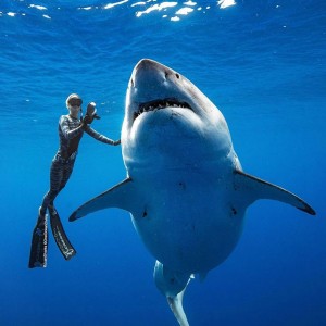 Bu gönderiyi Instagram'da gör Ocean Ramsey #OceanRamsey (@oceanramsey)'in paylaştığı bir