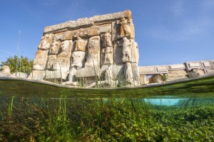Caddebostan Kültür Merkezi 15 Ocak 2019 – 15 Ocak 2019