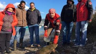 Muğla’nın Bodrum ilçesinde, suda hareketsiz bir şekilde bulunan carette carette, kurtarılarak tedavisi için DEKAMER’e teslim edildi. Bodrum’da Gümbet marina civarında devriye faaliyetini gerçekleştiren marina görevlileri, sahilde suda hareketsiz bir caretta caretta deniz kaplumbağası görünce Bodrum hayvan hakları gönüllüleriyle irtibata geçti. […]