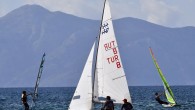 Türkiye Yelken Federasyonu