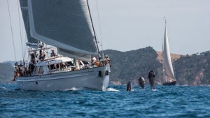 The NZ Millennium Cup 2019 was raced in the beautiful