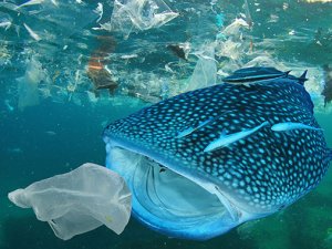 WWF (Dünya Doğayı Koruma Vakfı) plastik kirliliği krizine küresel bir