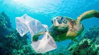 Türkiye ile birlikte Fransa, İspanya Portekiz Tunus İtalya ve Yunanistan’dan 9 paydaş ile yürütülen INDICIT Projesi deniz kaplumbağalarının en çok yedikleri plastik maddelerinden öldüğünü ortaya çıkardı. Türkiye ile birlikte Fransa, İspanya Portekiz Tunus İtalya ve Yunanistan’dan 9 paydaş ile yürütülen […]