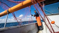 2017 yılında başlayan ‘Küçük Ölçekli Balıkçılığın Ortak Yönetimi’ projesi 2022 yılına kadar projenin pilot alanları olan; Foça-İzmir, Kaş-Antalya ve Erdemli-Mersin’de sürecektir. Projenin amacı Proje, Akdeniz’deki balıkçılığın durumunu iyileştirmeyi ve Türkiye, Hırvatistan, İtalya ve Yunanistan’da belirlenen pilot alanlarda sürdürülebilir ortak yönetim […]