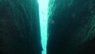 Herkese merhabalar… Bu gün sizlerle dalışın önemli bir türü olan ve dalıcılar tarafından da en çok tercih edilen duvar/reef dalışı ile ilgili bilgi ve düşüncelerimi paylaşmaya çalışacağım. Duvar dalışı, dalış türleri içinde benim de çok sevdiğim dalış türlerinden biridir. Özellikle […]