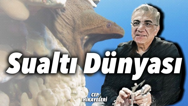 Bengiz Özdereli