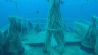 Alsancak Belediyesi’nın dalış turizmi için batırmış olduğu geminin milyonlarca balığın üreme noktası haline geldiği bildirildi. Bölgede dalış ve deniz turizmini geliştirmek amacıyla hayata geçirilen proje, Kuzey Kıbrıs’ta bir ilk olma özelliği taşıyor. KKTC Alsancak Belediyesi, Türkiye Cumhuriyeti Sahil Güvenlik Komutanlığı’ndan […]