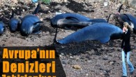 Ağır metaller ve zararlı kimyasallar Avrupa’nın denizlerini zehirliyor. Avrupa Çevre Ajansı, test edilen alanların dörtte üçünün kirlendiğini açıkladı. Avrupa Çevre Ajansı’na göre, etkilenen deniz, değerlendirilen alanların % 96’sının bazı zararlı maddelerin sorunlu seviyelerini gösterdiğini söylüyor. Benzer problemler Karadeniz’in % 91’inde […]
