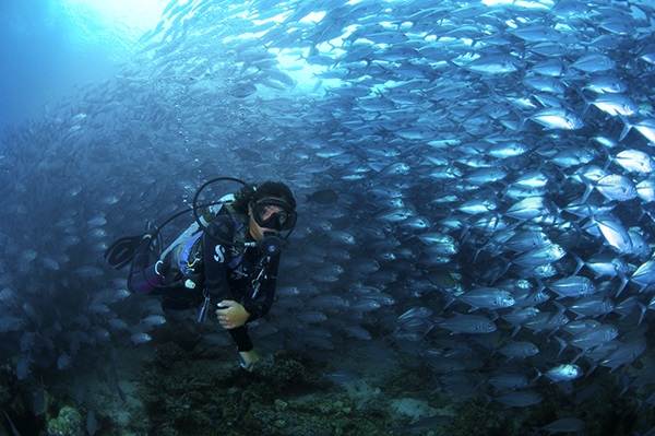 SIPADAN ISLAND_1