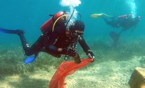 Bodrum’da “Denize En Çok Mavi Yakışır” sloganıyla düzenlenen deniz dibi