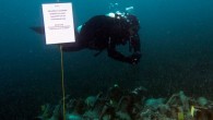 The Peristera shipwreck—located near the Greek island of Alonissos—is one of the first wrecks in Greece that will open to the public, including recreational and professional scuba divers. The wreck was originally discovered in the 1990s and is thought to […]