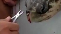Bir kerelik kullandığınız plastik pipetin akıbetini merak ediyorsanız buyrun pic.twitter.com/VuyRy8D3Fe — Mikroplastik Araştırma Grubu (@MikropArasGrubu) 23 Mayıs 2019