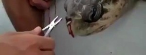 Bir kerelik kullandığınız plastik pipetin akıbetini merak ediyorsanız buyrun pic.twitter.com/VuyRy8D3Fe