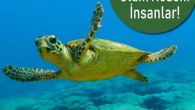 Antalya’da son 2.5 ayda 9 caretta ve yeşil deniz kaplumbağası cansız bulundu. Uzmanlar, kaplumbağaların ölüm sebebinin insanların faaliyetleri olduğunu ileri sürüyor. Antalya’nın Çıralı, Olimpos ve Mavikent sahillerinde, 2,5 ayda 9 caretta ve yeşil deniz kaplumbağası cansız bulundu. Kaplumbağaların balıkçı ağları, […]