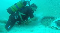 Sıfır Atık Mavi Projesi kapsamında Fethiye’de deniz dibi temizliği yapıldı. 9 gönüllü dalgıcın çalışmasında denizden şemsiye, metal, plastik ve cam atıklar çıkarıldı. Atıkların arasından çıkan ahtapot yavrusu bir dalgıç tarafından suya bırakıldı. Muğla’nın Fethiye ilçesinde Sıfır Atık Mavi Projesi kapsamında […]