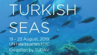 19-23 Ağustos tarihlerinde, NewYork’da, Birleşmiş Milletler Binası’nda, Hükümetlerarası Açık Denizlerin Korunması ve Yönetimi Konferansı sırasında düzenleyeceğimiz etkinlik için, deniz konusuna aşina Amerika'da yaşayan gönüllüler arıyoruz. Müracaat özgeçmişle tudav@tudav.org'a pic.twitter.com/g51dBJcVzQ — TÜDAV (@TudavTudav) July 29, 2019
