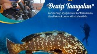 Tahsin Ceylan