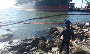 marmara_1