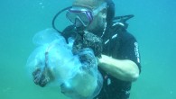 1 Temmuz’da kutlanan Kabotaj ve Denizcilik Bayramı’nda Türk Deniz Araştırmaları Vakfı, denizlerimizdeki tehditleri sıraladı. TÜDAV Başkanı Bayram Öztürk, Marmara’da ışık geçirgenliğinin 2 metreye kadar düştüğünü açıkladı. Denizlerimiz için ulusal seferberlik ilan etmemiz gerektiğini söyleyen TÜDAV Başkanı Prof. Dr. Bayram Öztürk, […]