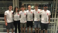 Türkiye Yelken Federasyonu