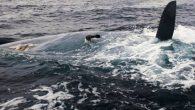 Changes to the World Sailing Offshore Special Regulations (OSR) coming into effect on January 1 2022, will mean an additional requirement for yachts taking part in races of Category 0 to Category 3. The most significant change is the requirement […]