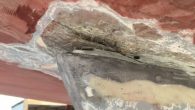 by Darrell Nicholson, Practical Sailor If your potential dream boat has more than 20 years behind her, one item that will likely come up on a survey is keel bolts — the heavy duty fasteners that keep your keel from […]